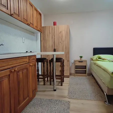 Studio Apartman Petra Varazdinske Toplice Exterior photo